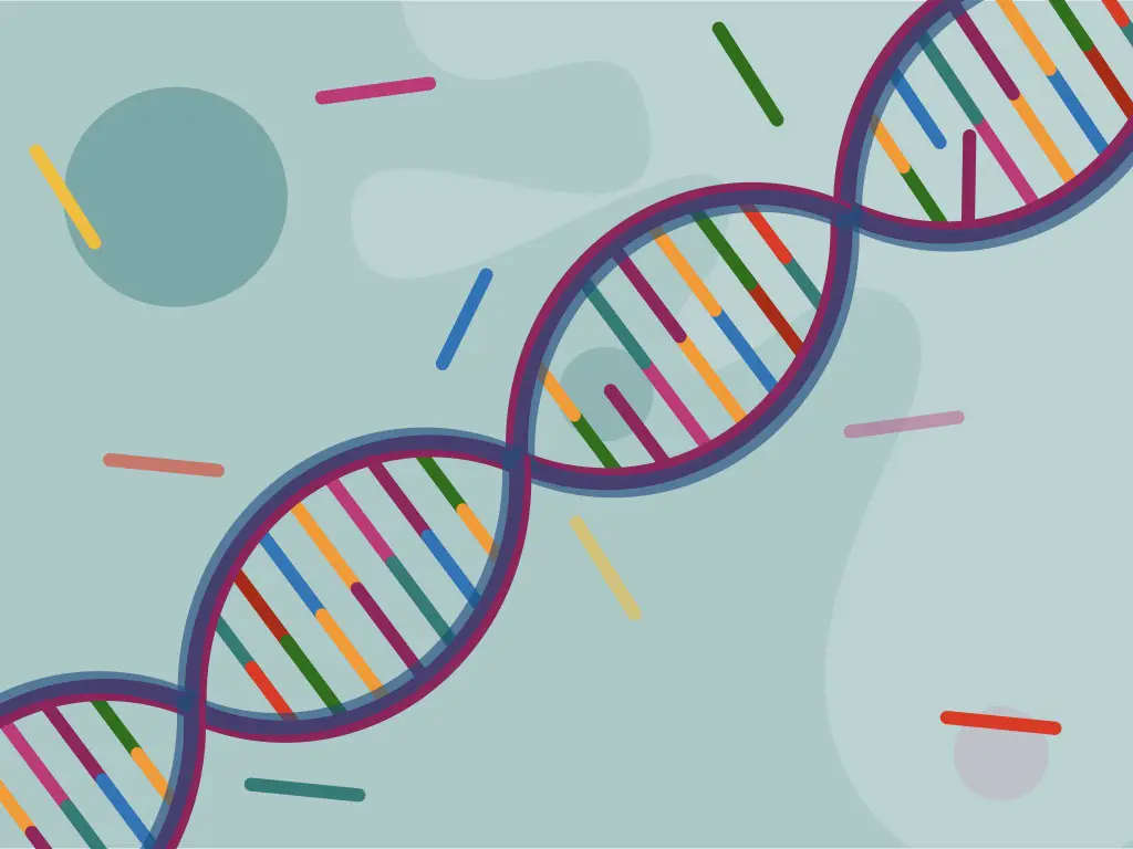 Cancer Subtype Classifier using Gene Expression